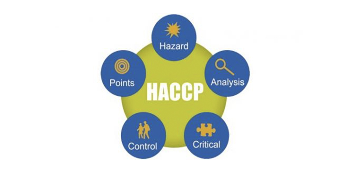 Chứng nhận Haccp là gì? Điều kiện để đạt chứng nhận Haccp