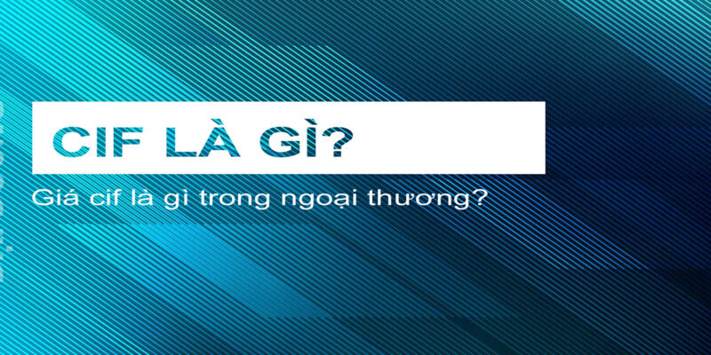 Giá CIF là gì? Nghĩa vụ của người mua bán về giá CIF