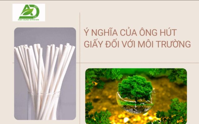 Ý nghĩa của ống hút giấy đối với môi trường