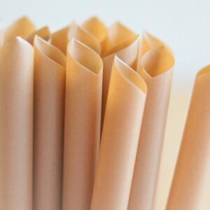 Ống hút bã mía phi 12